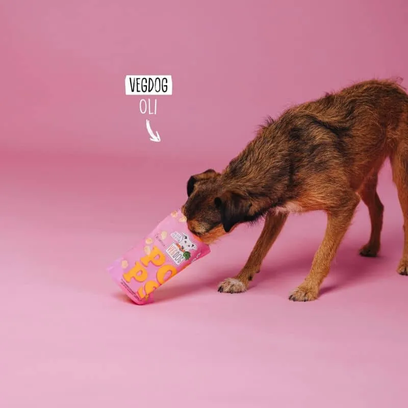 FRIANDISES VEGAN POUR CHIEN - POPS 🍿