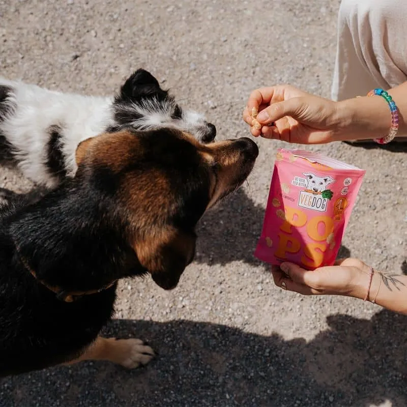 FRIANDISES VEGAN POUR CHIEN - POPS 🍿