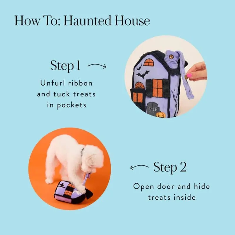 JEU D’OCCUPATION ET DE FOUILLE HALLOWEEN POUR CHIEN - MAISON HANTÉE