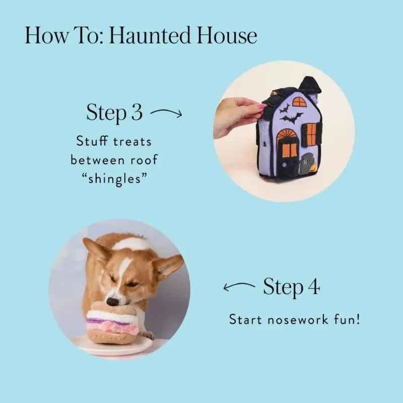 JEU D’OCCUPATION ET DE FOUILLE HALLOWEEN POUR CHIEN - MAISON HANTÉE