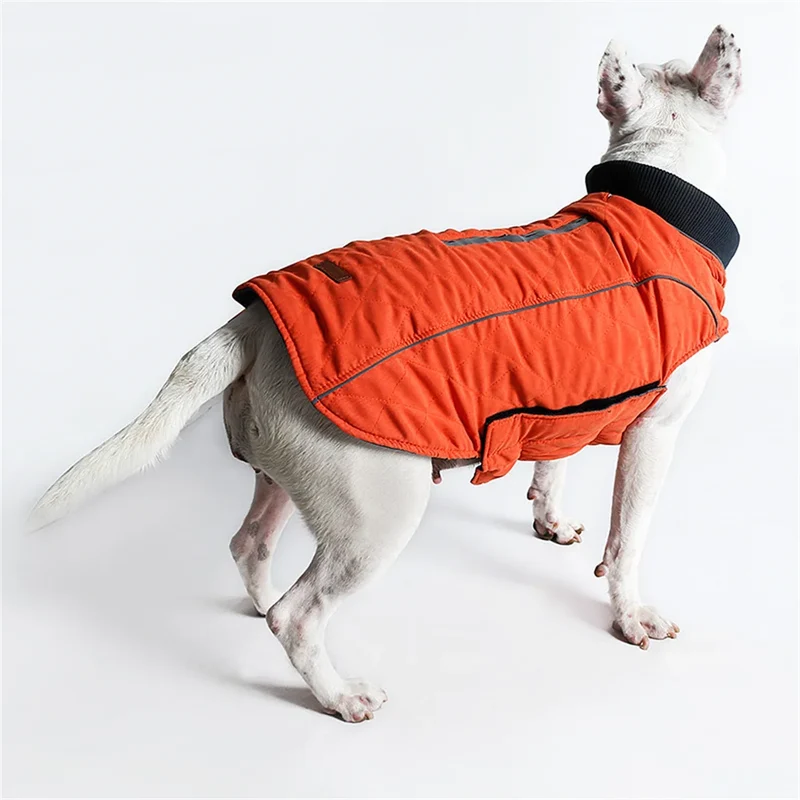 Manteau Hiver Réfléchissant Bull Terrier Six Coloris XS-3XL