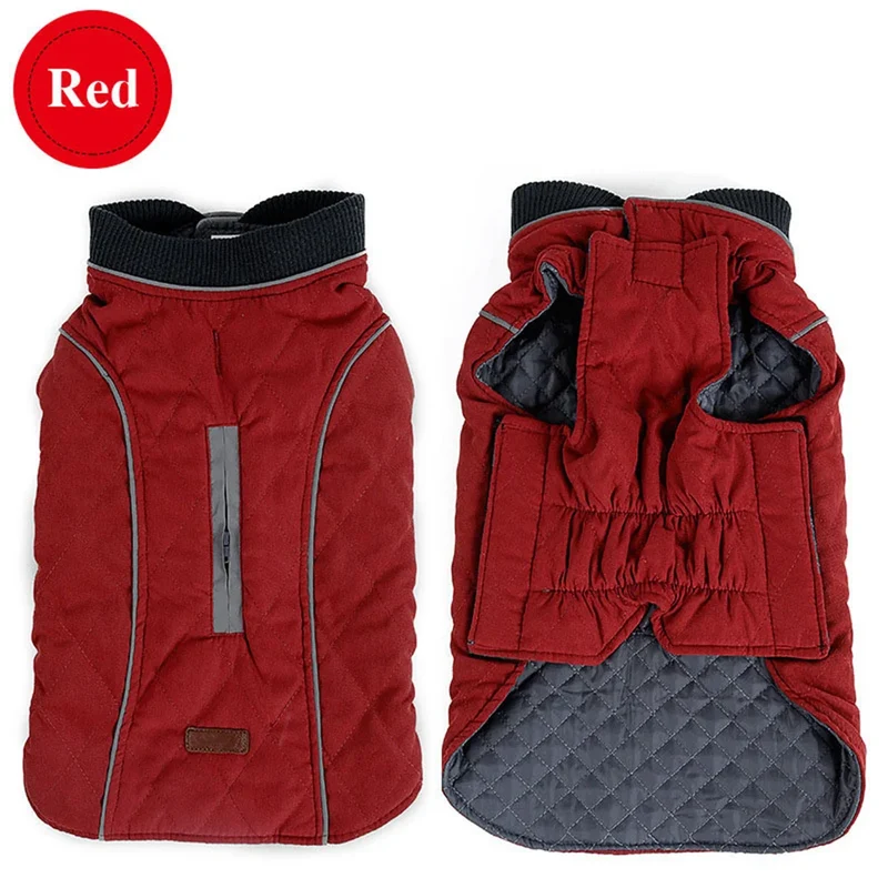 Manteau Hiver Réfléchissant Bull Terrier Six Coloris XS-3XL