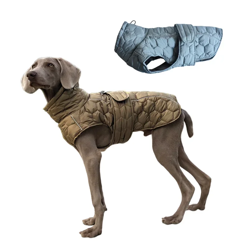 Manteau Hiver Weimaraner Grand Chien Doublure Polaire Réfléchissant