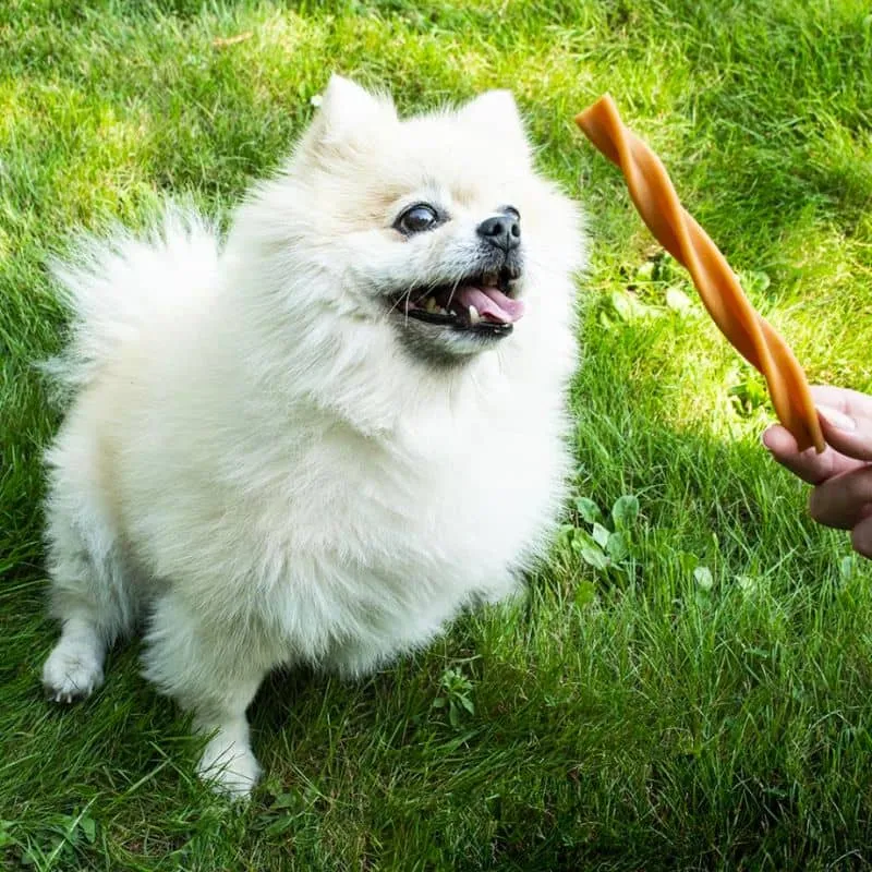 STICK DENTAIRE À MÂCHER POUR CHIEN - TWIST AUX FRUITS (SACHET DE 15 PIÈCES) 🍌🍑🍐