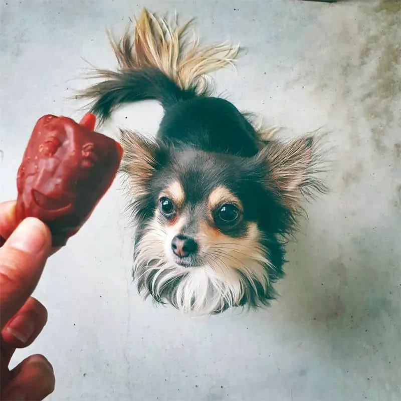 FRIANDISE DENTAIRE À MÂCHER POUR CHIEN - LÉGUME (SACHET DE 18 PIÈCES) 🥦🌶🍠