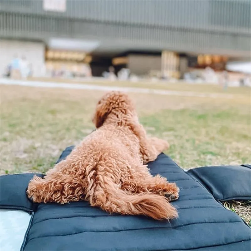 SAC DE TRANSPORT CONVERTIBLE & PLIABLE POUR CHIEN - NOIR