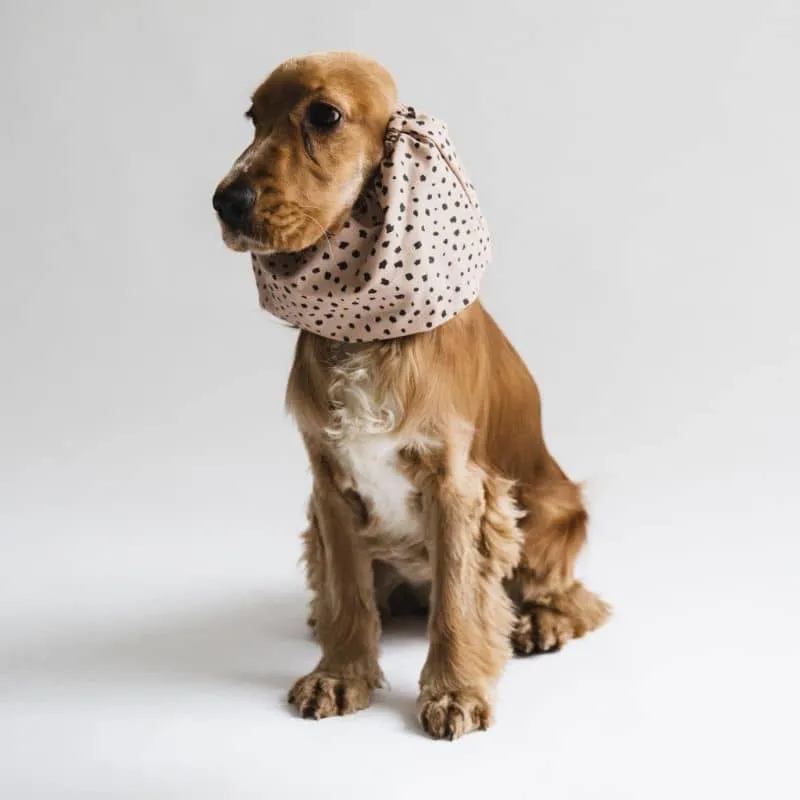 SNOOD POUR CHIEN EN COTON - BLACK & TAN