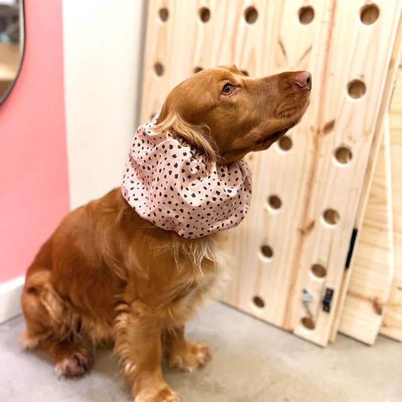 SNOOD POUR CHIEN EN COTON - BLACK & TAN