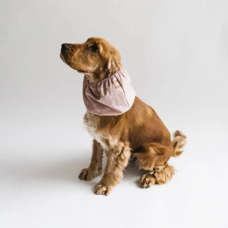 SNOOD POUR CHIEN EN COTON - ROSE MOTIFS COEURS