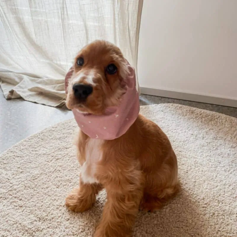 SNOOD POUR CHIEN EN COTON - ROSE MOTIFS COEURS