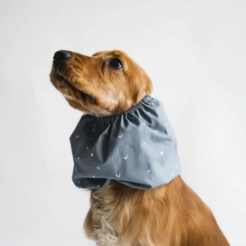 SNOOD POUR CHIEN EN COTON - BLEU MOTIFS COEURS