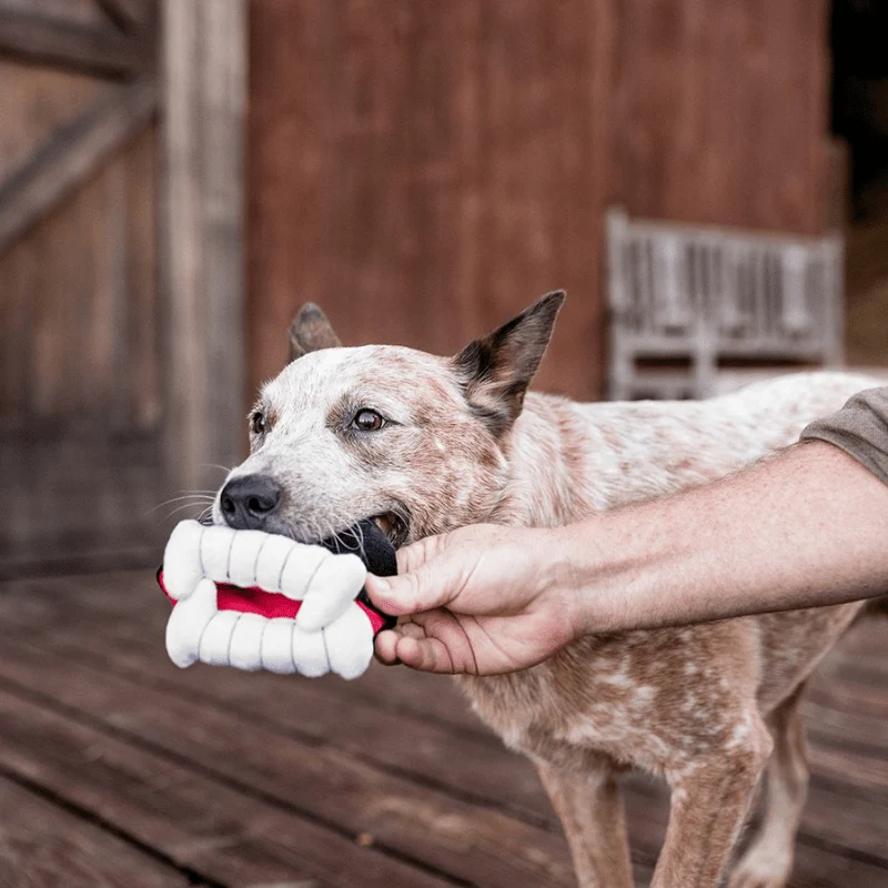PELUCHE HALLOWEEN POUR CHIEN - DENTS DE VAMPIRE 🧛