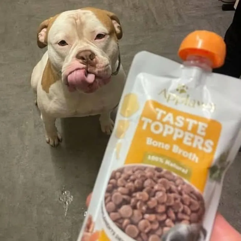 BOUILLON D'OS POUR CHIEN - POULET