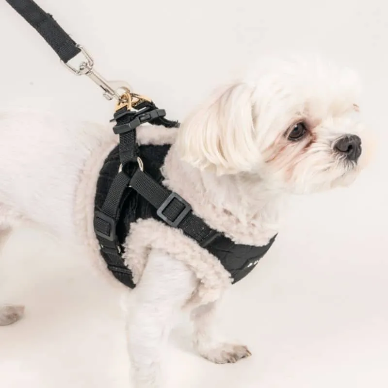HARNAIS VESTE POUR CHIEN (ET CHAT) FOURRURE - SHERPA N&B "WINTERSTRIDE"