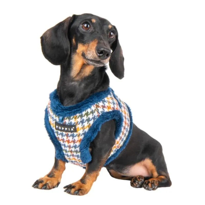 HARNAIS VESTE POUR CHIEN (ET CHAT) FOURRURE - LAINAGE PIED DE POULE BLEU "KENT"