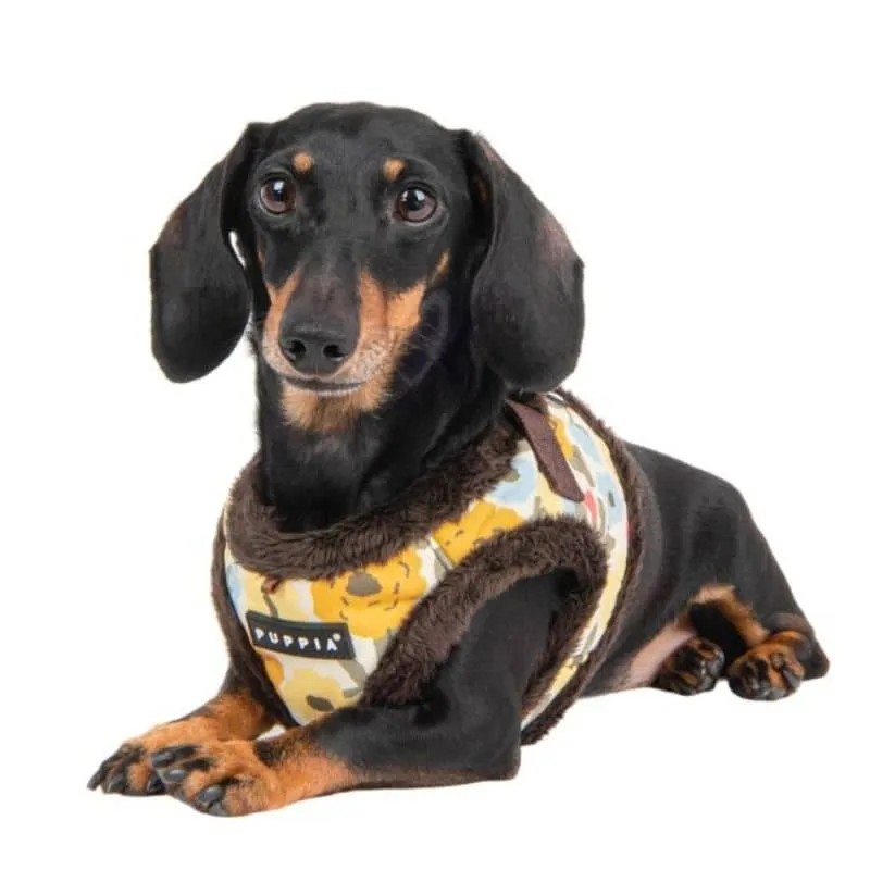 HARNAIS VESTE POUR CHIEN (ET CHAT) FOURRURE - FLEURS D'HIVER "ALYSSA BROWN"