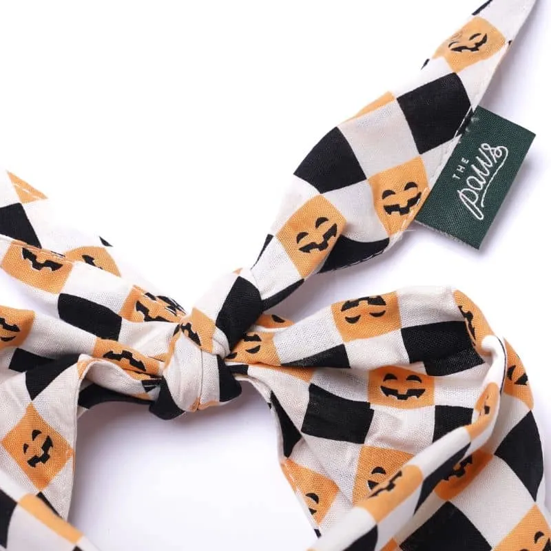 BANDANA POUR CHIEN - TRICK OR TREAT HALLOWEEN