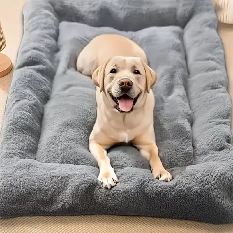 Matelas Épais 120x60 cm Gros Chien Gris Intérieur