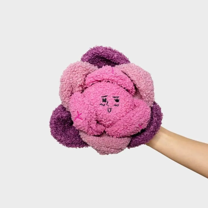 JEU D’OCCUPATION ET DE FOUILLE POUR CHIEN - CHOU