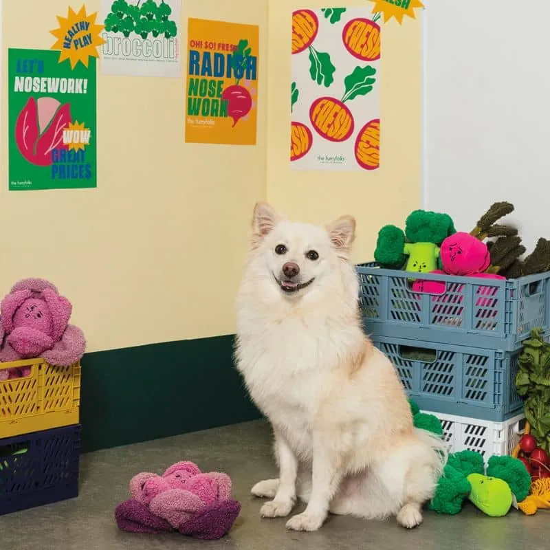 JEU D’OCCUPATION ET DE FOUILLE POUR CHIEN - CHOU