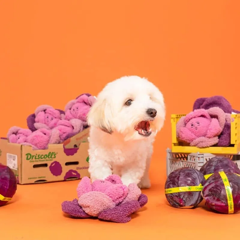 JEU D’OCCUPATION ET DE FOUILLE POUR CHIEN - CHOU