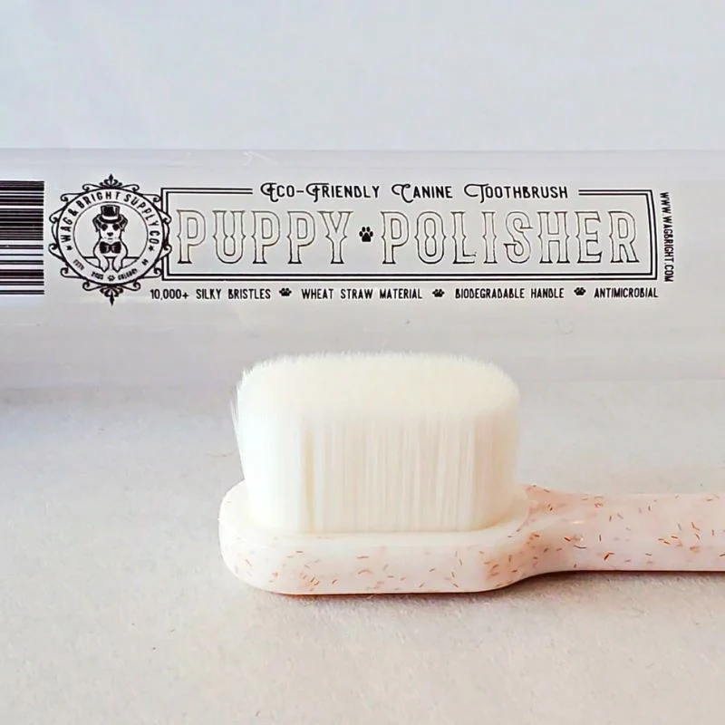 BROSSE À DENT BIODÉGRADABLE POUR CHIEN (2 TAILLES DISPO)