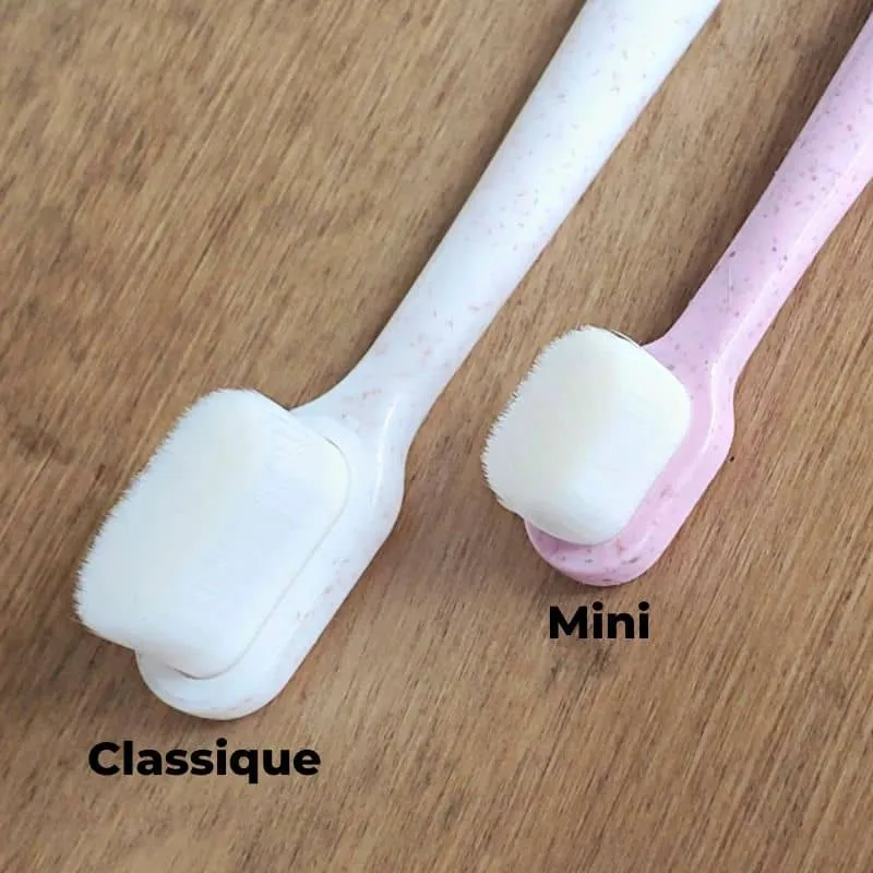 BROSSE À DENT BIODÉGRADABLE POUR CHIEN (2 TAILLES DISPO)