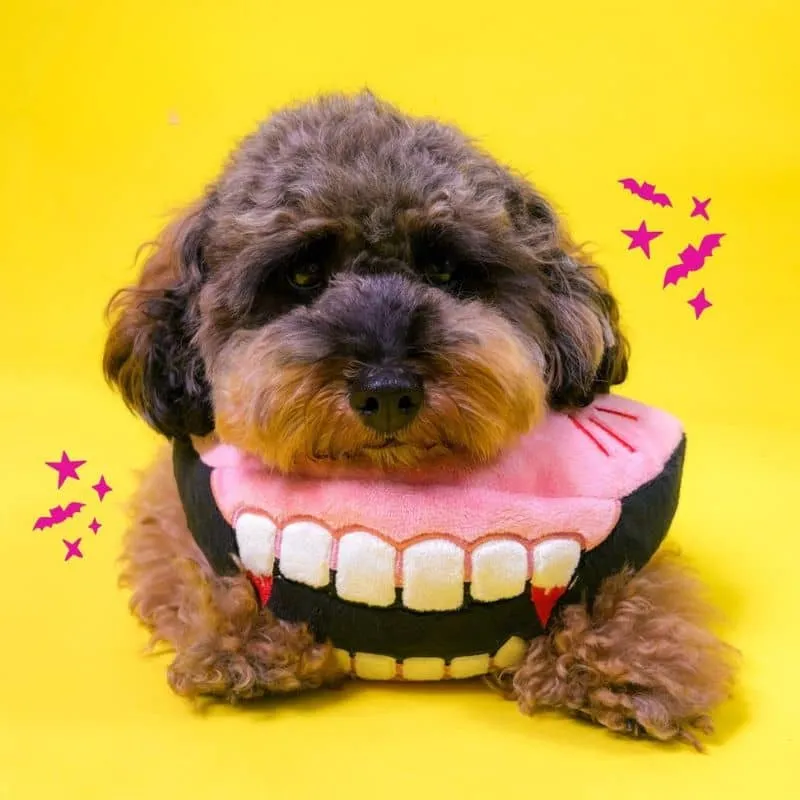 PELUCHE HALLOWEEN POUR CHIEN - DENTS DE VAMPIRE 🧛