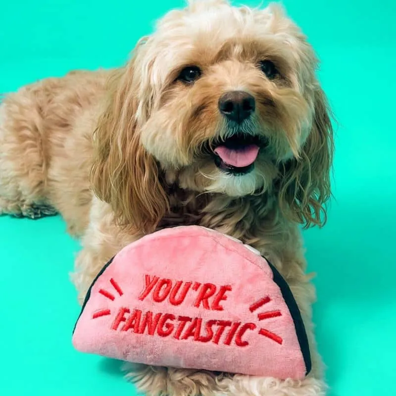 PELUCHE HALLOWEEN POUR CHIEN - DENTS DE VAMPIRE 🧛