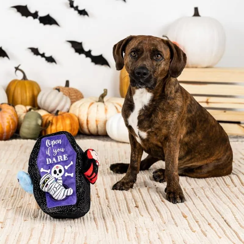 JOUET HALLOWEEN D’OCCUPATION INTERACTIF POUR CHIEN - CERCUEIL ⚰️