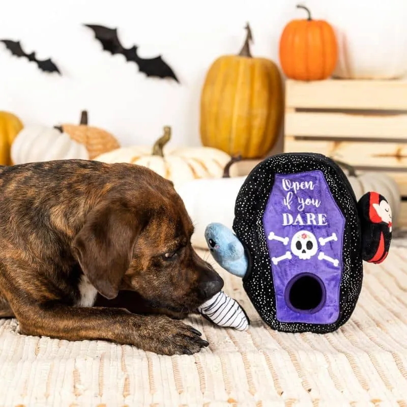 JOUET HALLOWEEN D’OCCUPATION INTERACTIF POUR CHIEN - CERCUEIL ⚰️