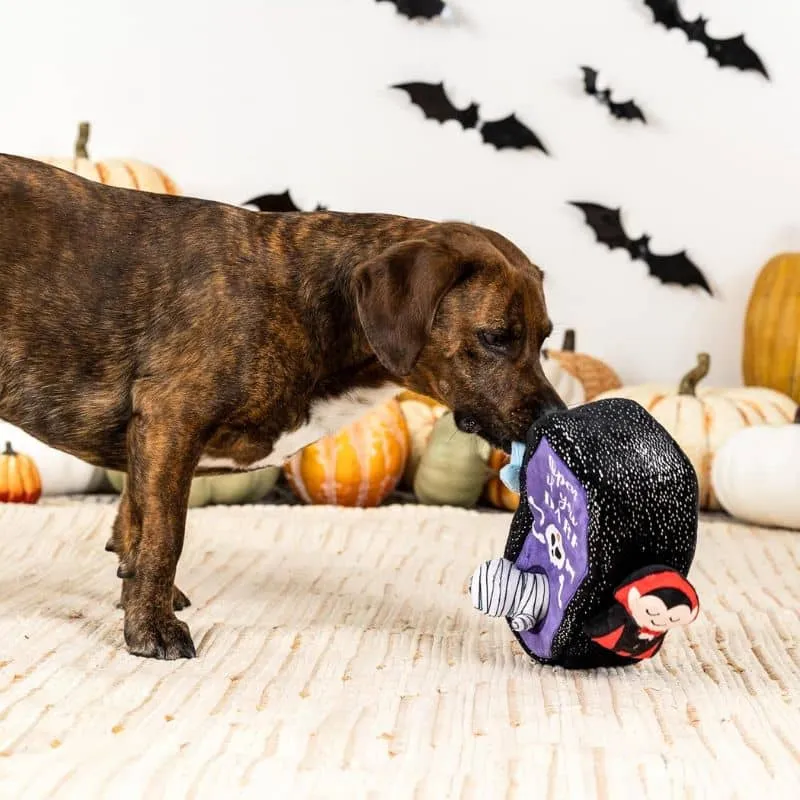 JOUET HALLOWEEN D’OCCUPATION INTERACTIF POUR CHIEN - CERCUEIL ⚰️