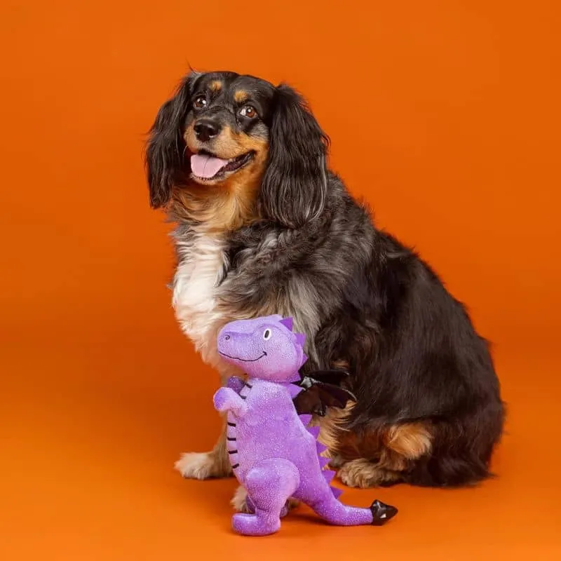 PELUCHE HALLOWEEN POUR CHIEN - DINOSAURE DRAGON 🐉