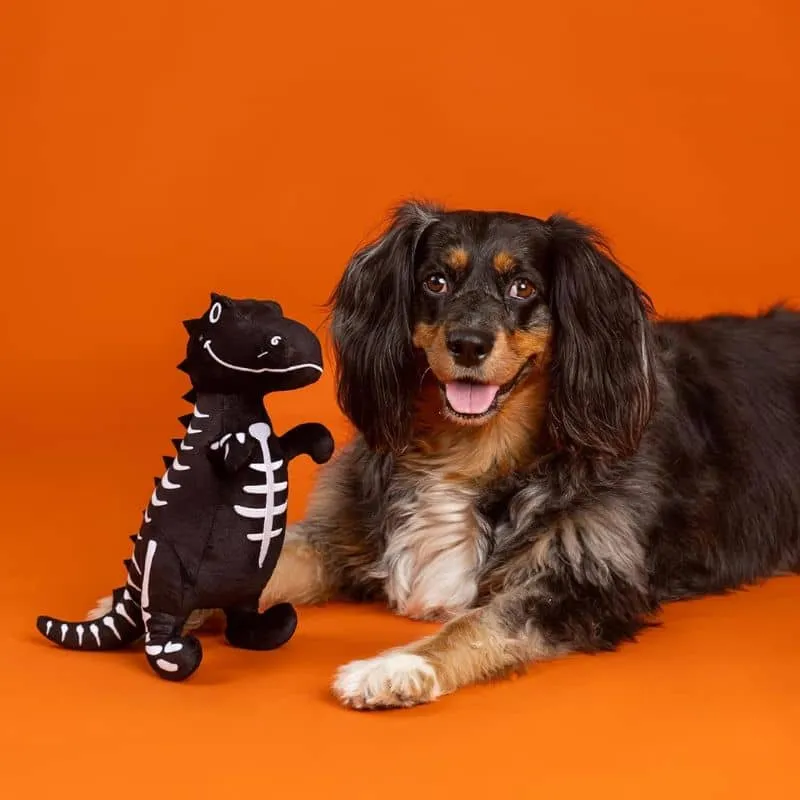 PELUCHE HALLOWEEN POUR CHIEN - DINOSAURE SQUELETTE 👻