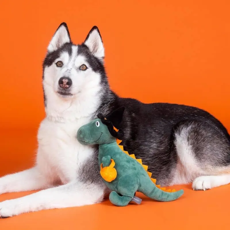 PELUCHE HALLOWEEN POUR CHIEN - DINOSAURE SORCIÈRE 🎃