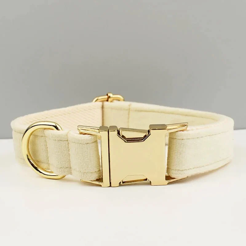 Collier pour chien en velours personnalisé réglable