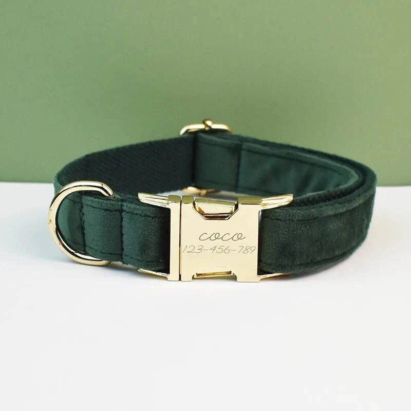 Collier pour chien en velours personnalisé réglable