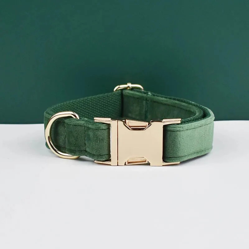 Collier pour chien en velours personnalisé réglable