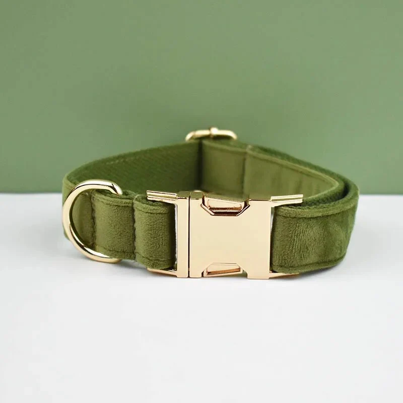 Collier pour chien en velours personnalisé réglable
