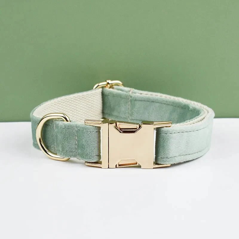 Collier pour chien en velours personnalisé réglable