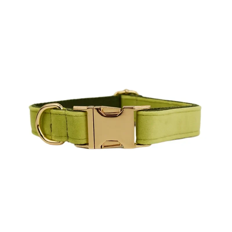 Collier pour chien en velours personnalisé réglable