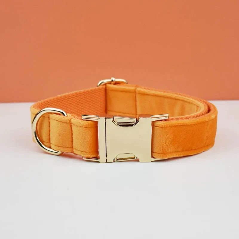 Collier pour chien en velours personnalisé réglable