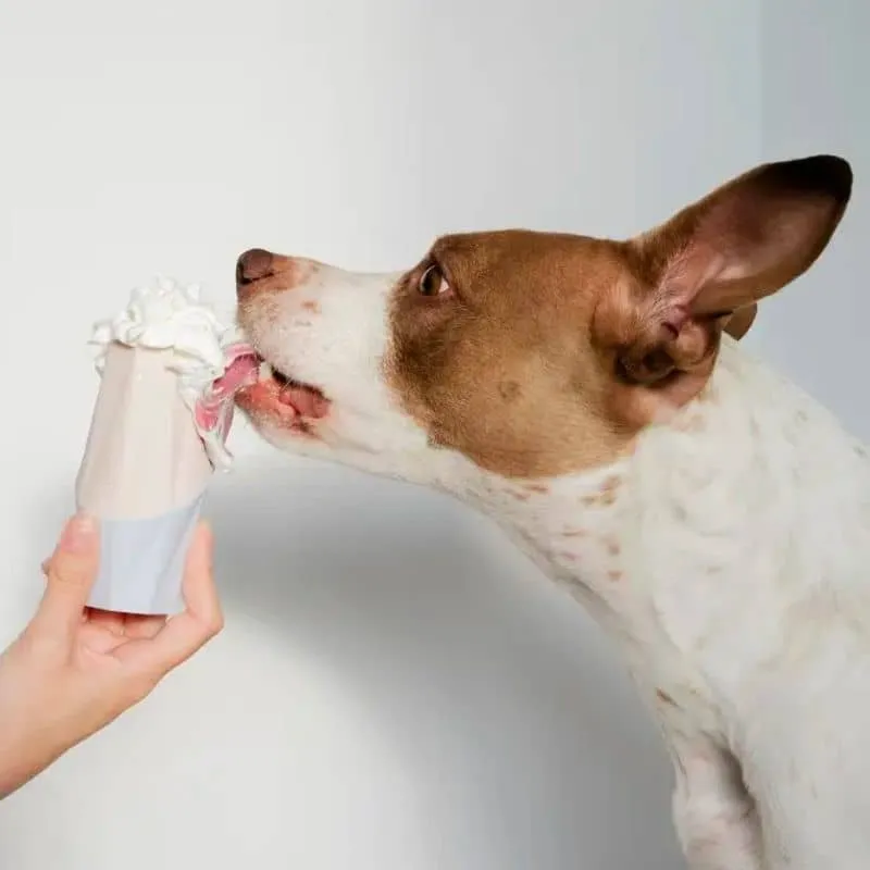JOUET D’OCCUPATION DISTRIBUTEUR DE FRIANDISES HUMIDES POUR CHIEN - THE UBBE