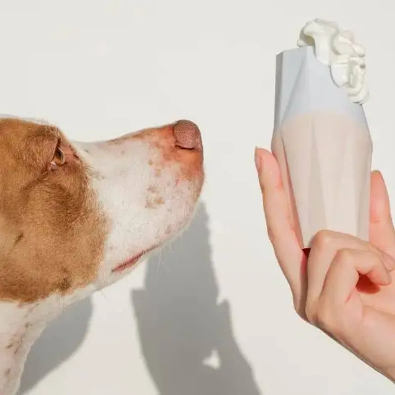 JOUET D’OCCUPATION DISTRIBUTEUR DE FRIANDISES HUMIDES POUR CHIEN - THE UBBE