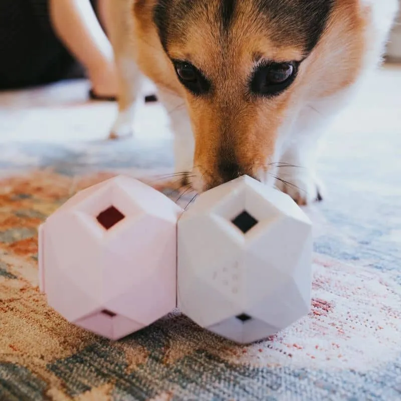 JOUET D’OCCUPATION DISTRIBUTEUR DE FRIANDISES POUR CHIEN - THE ODIN * ROSE