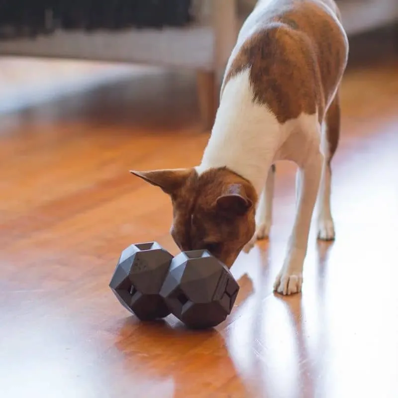 JOUET D’OCCUPATION DISTRIBUTEUR DE FRIANDISES POUR CHIEN - THE ODIN * GRIS ARDOISE