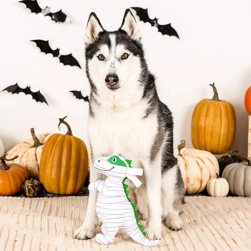 PELUCHE HALLOWEEN POUR CHIEN - DINOSAURE MOMIE