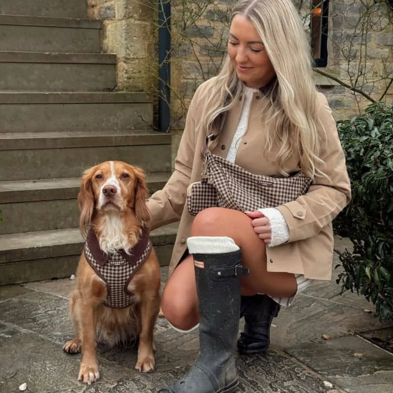 HARNAIS POUR CHIEN - CARREAUX "COTSWOLD CHECK"