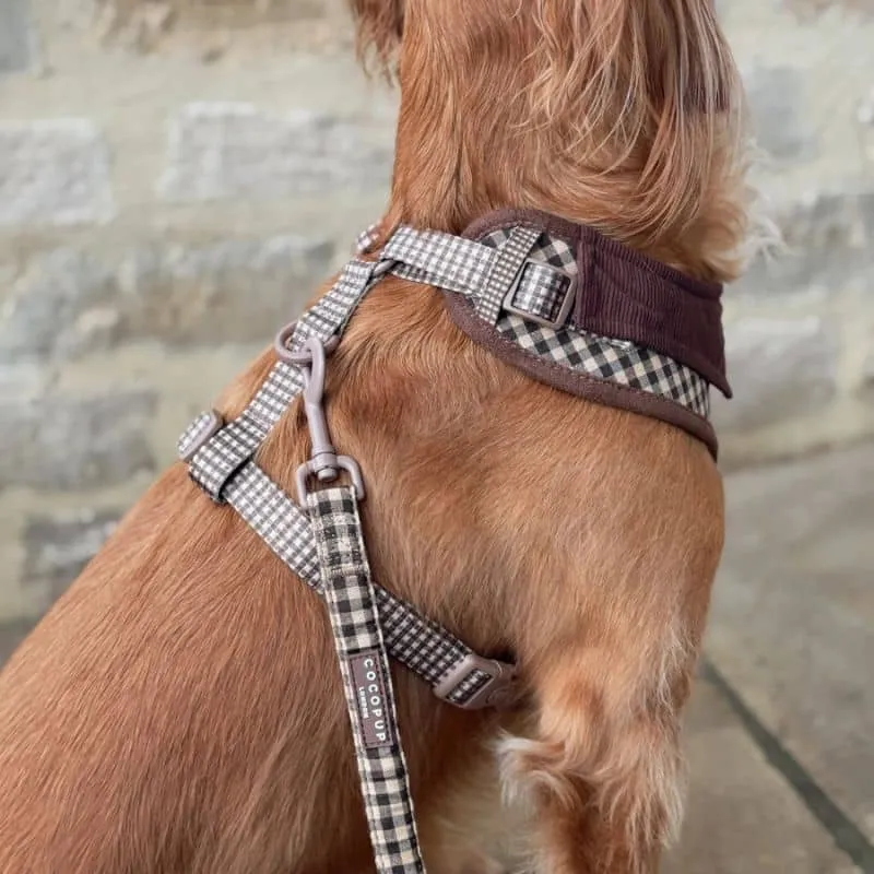 HARNAIS POUR CHIEN - CARREAUX "COTSWOLD CHECK"