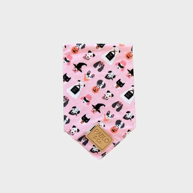 BANDANA POUR CHIEN - HALLOWEEN TRICK OR TREAT 🍬
